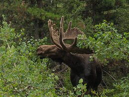 4 Star Holiday Home in ED