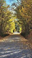 Riesling Trail and Clare Valley Cottages