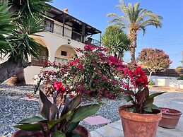 Charming Erimi Villa With Private Pool and Garden View