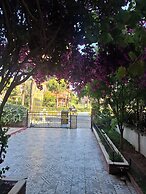 Evim Palace