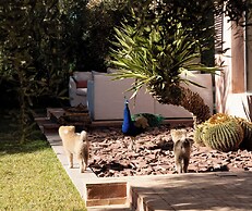 Jardin Sakina
