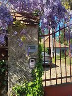 Maison d'hôtes La Danasha