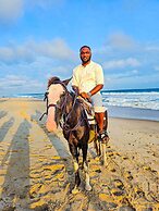 Ziba Beach Resort