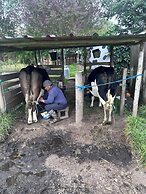 Hosteria y Camping WiM