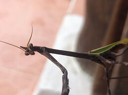 LOS FUNDADORES estancia ecológica