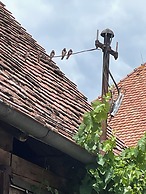 Schlafen im Weinfass