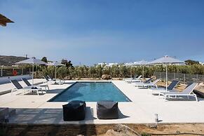 calmare collection hotel