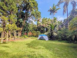 Kehena Mauka Nui LGBTQ Clothing Optional