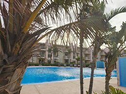 Marialva Tropical T2