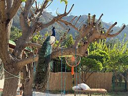 Sea Salt Inn & Kitchene