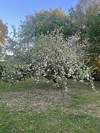 Casa de Rainer Tommerup