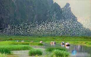 Bliss Tam Coc Resort Ninh Binh