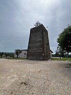 Torre Menerva Viterbo
