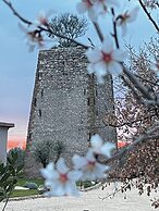 Torre Menerva Viterbo