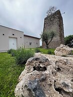 Torre Menerva Viterbo