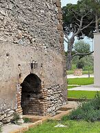 Torre Menerva Viterbo