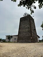 Torre Menerva Viterbo