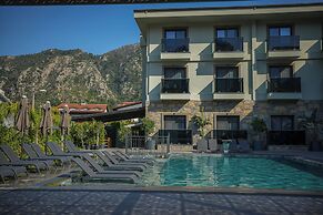 Oliva Verde Hotel