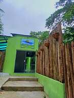Loft's Green Island
