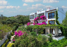 Villa Patara Amazing Sea view