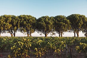 Château Laffitte Carcasset