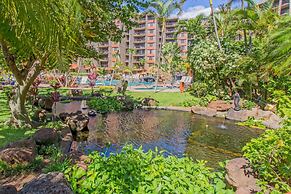 Kaanapali Shores 432 Studio Condo Condo