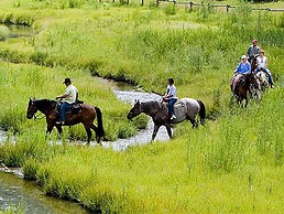The Cabins At Snake River Sporting Club