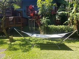 Yonegan Maui Getaways - Haiku