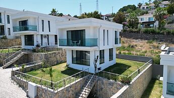 Angel Houses 1