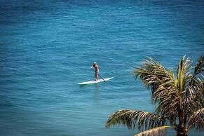 Yonegan Central Maui Getaways
