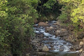 Yonegan Central Maui Getaways