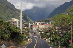 Yonegan Central Maui Getaways