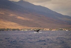 Yonegan Central Maui Getaways