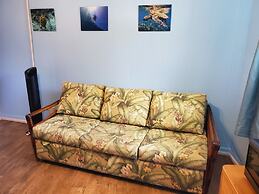 Yonegan Central Maui Getaways