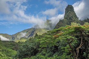 Yonegan Central Maui Getaways