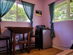 Yonegan Central Maui Getaways