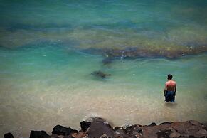 Yonegan Central Maui Getaways