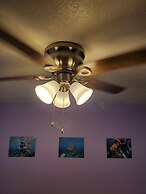 Yonegan Central Maui Getaways