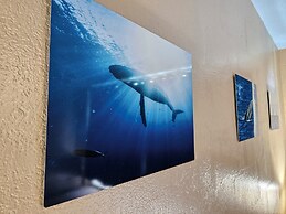 Plumeria Hilo Hotel
