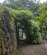 Plumeria Hilo Hotel