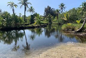 Plumeria Hilo Hotel
