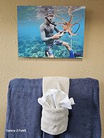 Plumeria Hilo Hotel