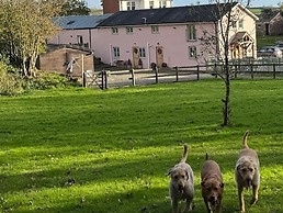 Ty Llaeth 2-bed Cottage, Sleeps 4, Pet Friendly