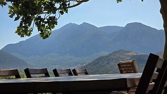 Uzun Ev by Ertem Homes