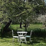 Lemon Tree Boutique Guesthouse