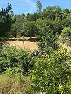 Paredes de Coura Villa