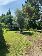 Paredes de Coura Villa