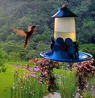 Flats Refugio Da Mata