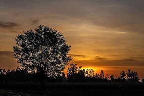 Suan Pa Khao Lom Homestay
