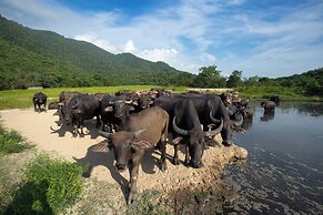 Suan Pa Khao Lom Homestay